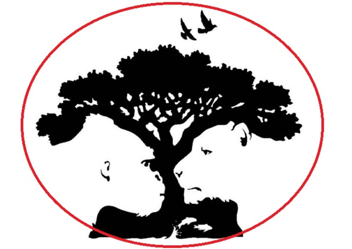 Kiểm tra tính cách qua hình ảnh: Bạn thấy hình ảnh nào đầu tiên? 36 bài trắc nghiệm tính cách qua hình ảnh