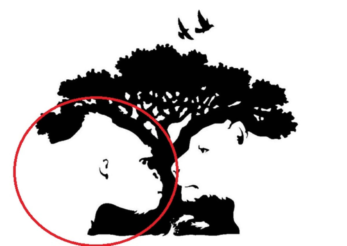 Kiểm tra tính cách qua hình ảnh: Bạn thấy hình ảnh nào đầu tiên? 38 trắc nghiệm tính cách qua hình ảnh nhìn thấy đầu tiên