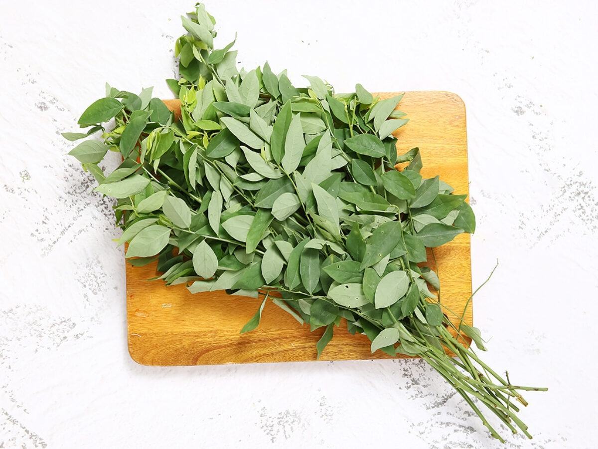 bầu 3 tháng đầu kiêng ăn gì chính là rau ngót bầu 3 tháng đầu kiêng ăn gì là rau ngót