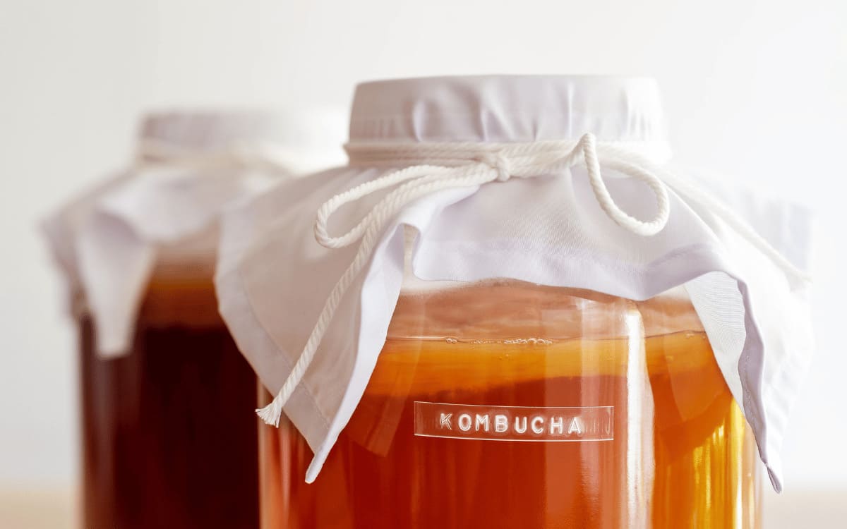 Trẻ em uống kombucha có ảnh hưởng gì không, có an toàn không? 36 kombucha là gì