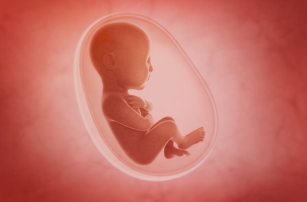 bầu ăn mắm tôm được không và lợi ích từ mắm tôm bầu ăn mắm tôm được không và lợi ích của mắm tôm