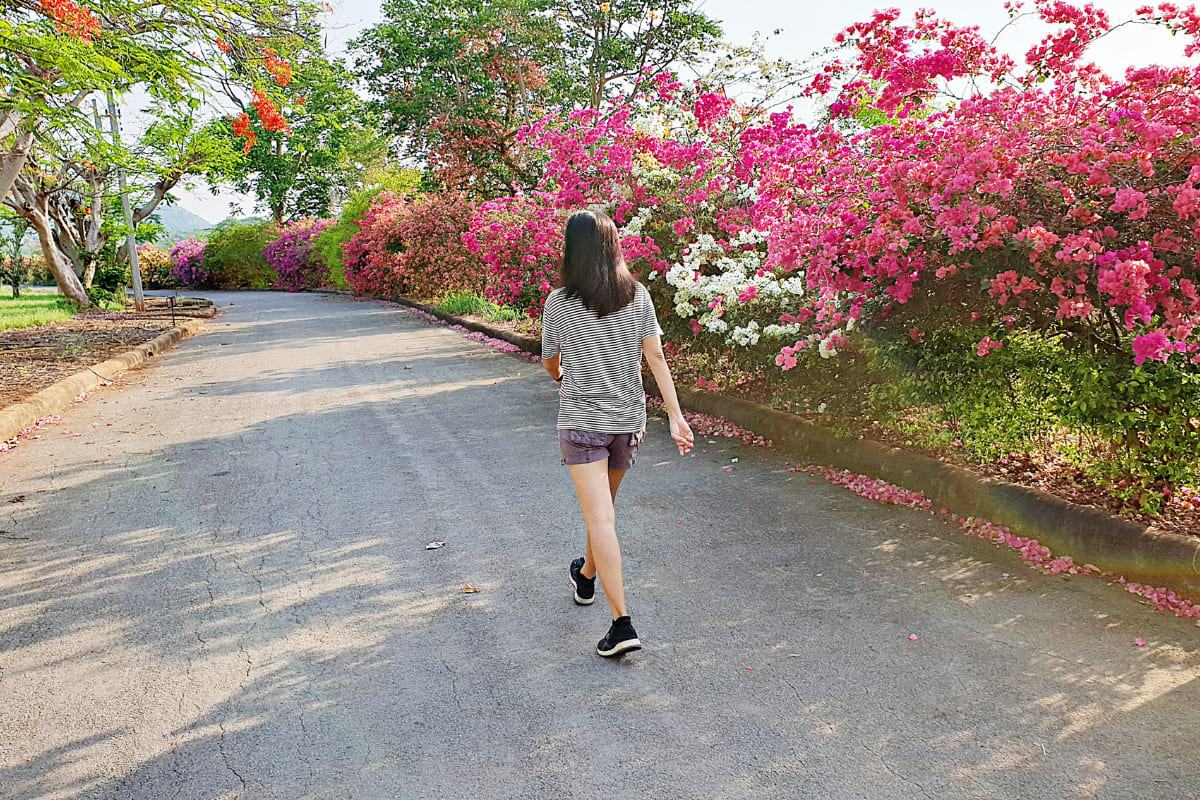 Bật mí lợi ích của việc đi bộ khiến bạn thêm yêu bộ môn vận động này 34 lợi ích của việc đi bộ