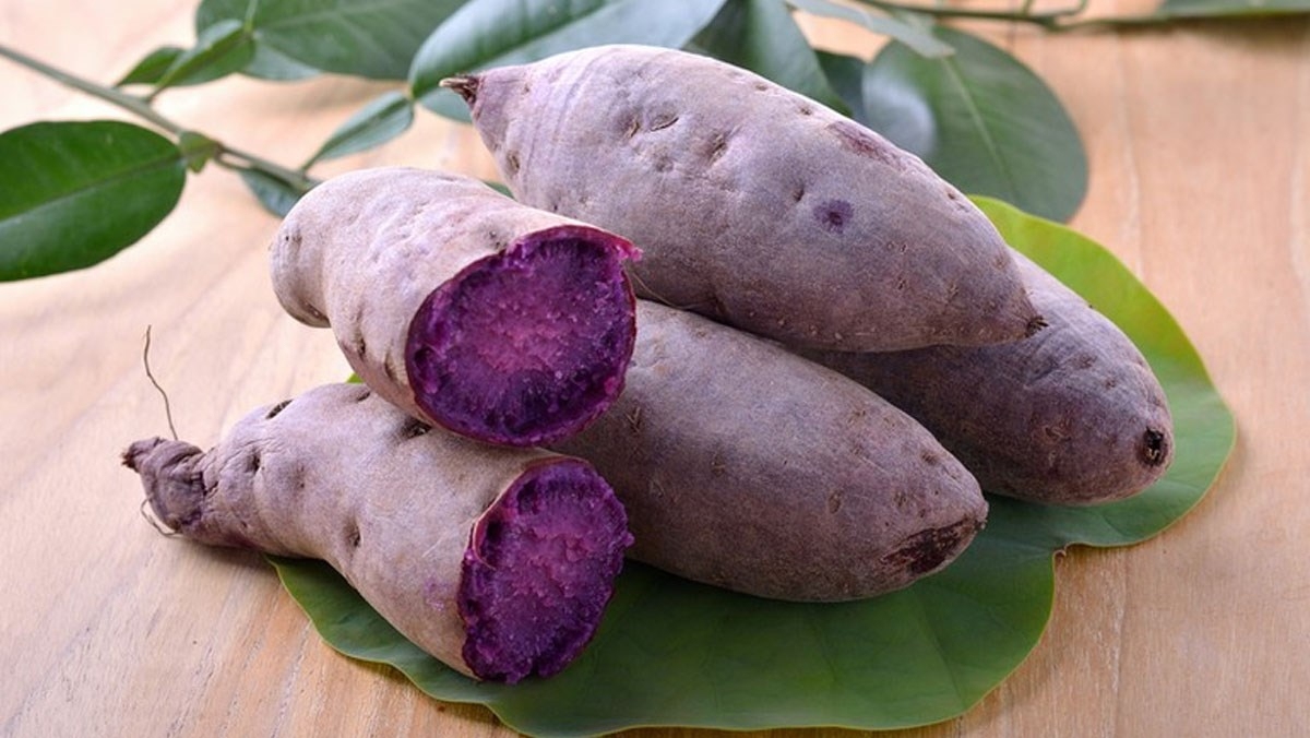 cách làm bánh khoai mỡ và lợi ích của khoai mỡ đối với sức khỏe cách làm bánh khoai mỡ và lợi ích của khoai mỡ với sức khỏe