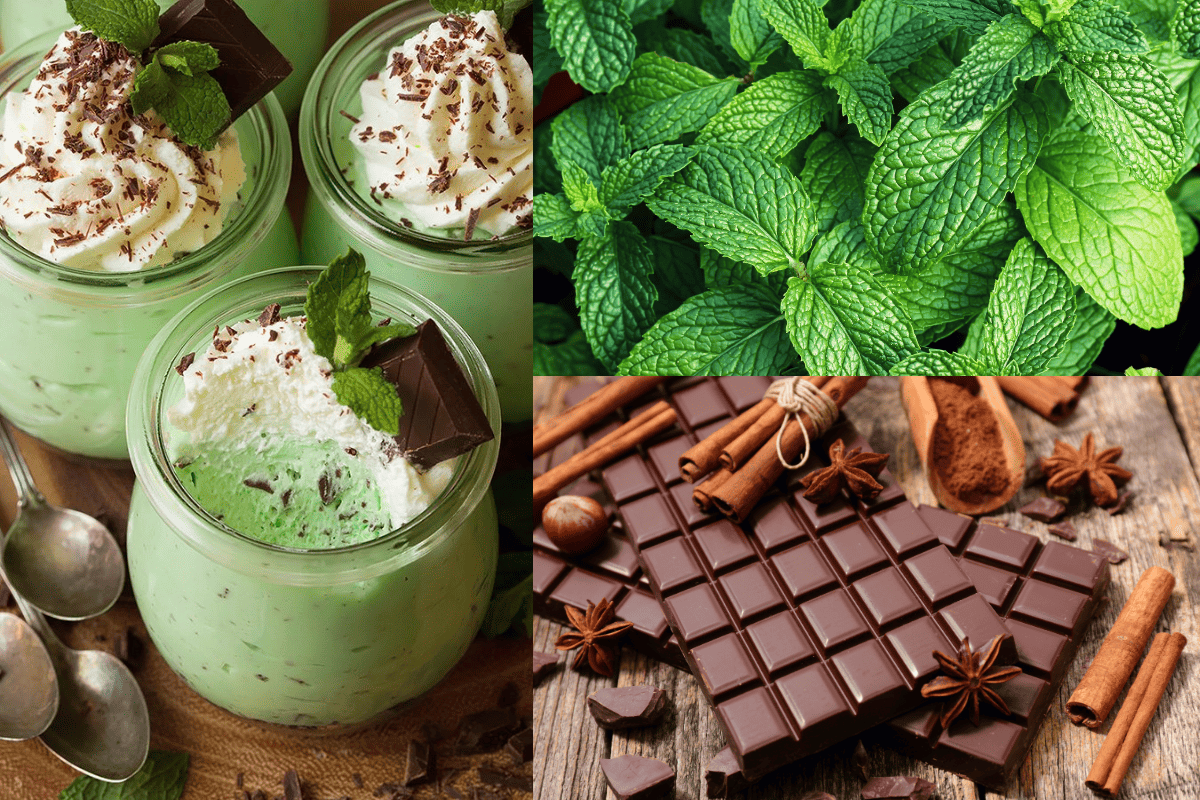2 cách làm mousse phô mai trái cây ngon đỉnh nóc, thử ngay thôi nào! 35 Cách làm mousse phô mai bạc hà