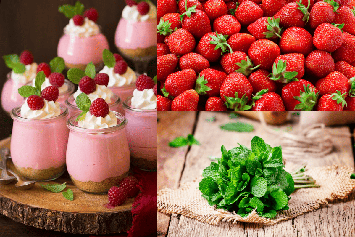2 cách làm mousse phô mai trái cây ngon đỉnh nóc, thử ngay thôi nào! 34 Cách làm mousse phô mai mâm xôi