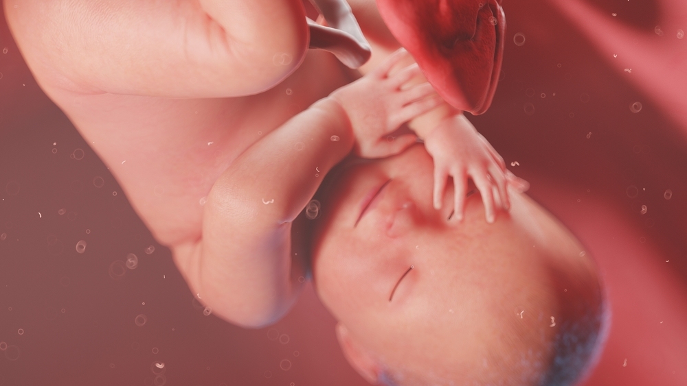 cách làm giảm nước ối và nước ối là gì