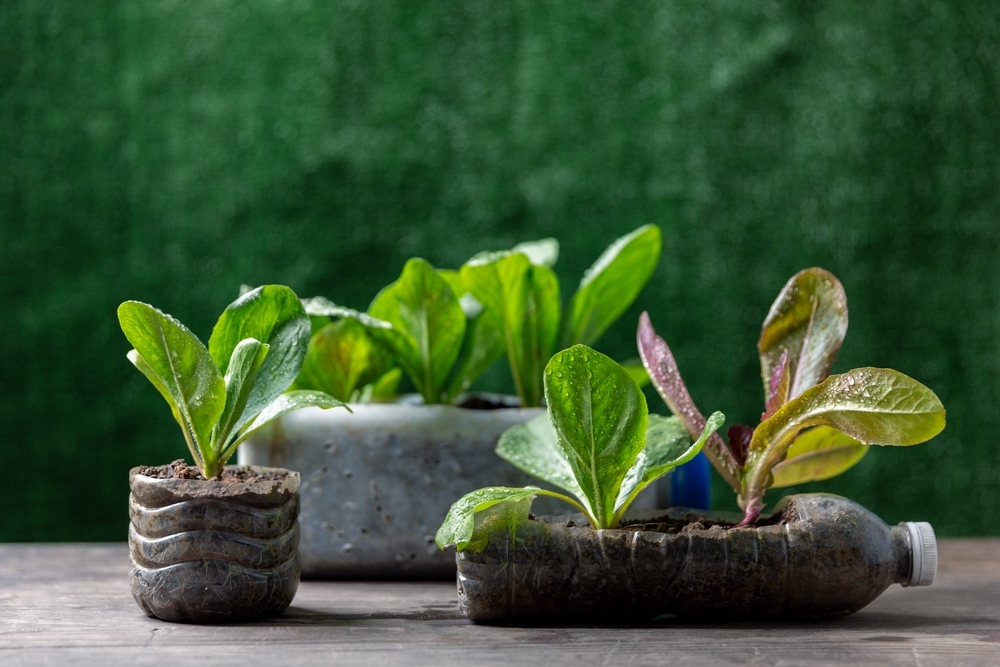 những lợi ích của việc sống tối giản trong gia đình Lợi ích của việc sống tối giản trong gia đình