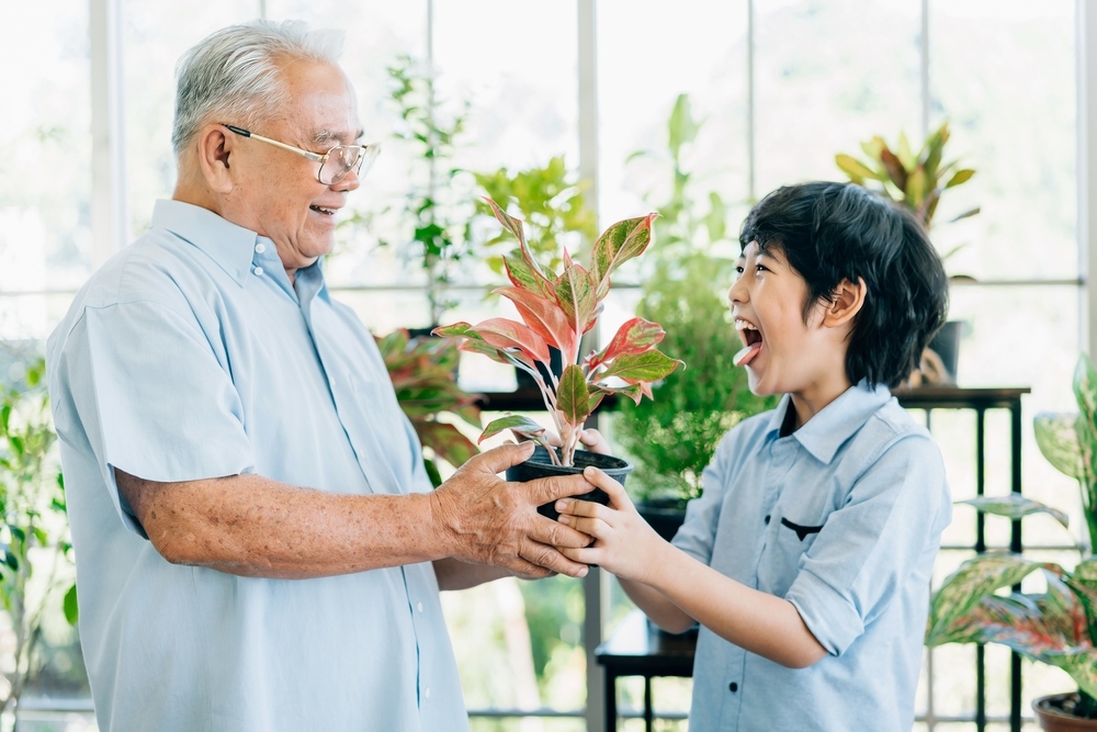 tình cảm của cháu đối với ông bà và tại sao mối quan hệ này có ảnh hưởng sâu sắc đến tuổi thơ tình cảm của cháu đối với ông bà và vì sao mối quan hệ này có ảnh hưởng sâu sắc đến tuổi thơ