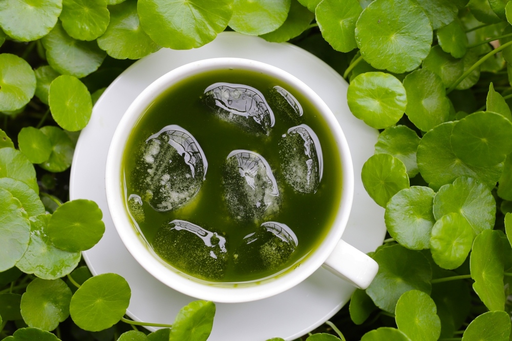 uống thuốc tây nhiều nên ăn gì cho mát và các gợi ý thực phẩm thanh nhiệt cơ thể uống thuốc tây nhiều nên ăn gì cho mát và gợi ý nhóm thực phẩm thanh nhiệt cơ thể