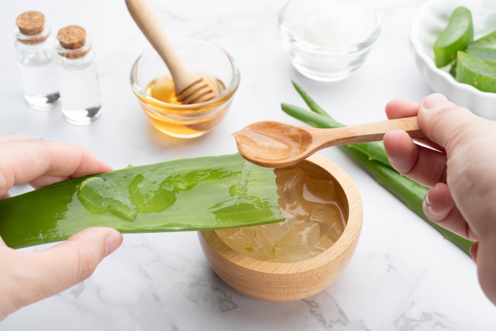 Mặt nạ ngủ từ nha đam cùng mật ong Mặt nạ ngủ từ nha đam và mật ong