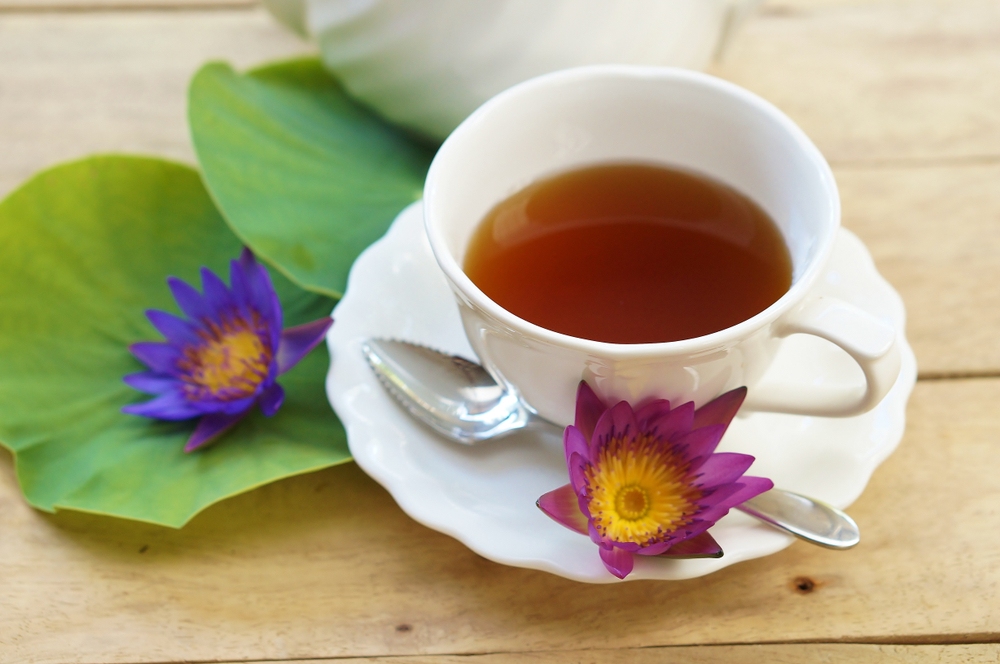 khám phá uống nước lá gì để giảm mỡ máu tìm hiểu uống nước lá gì để giảm mỡ máu