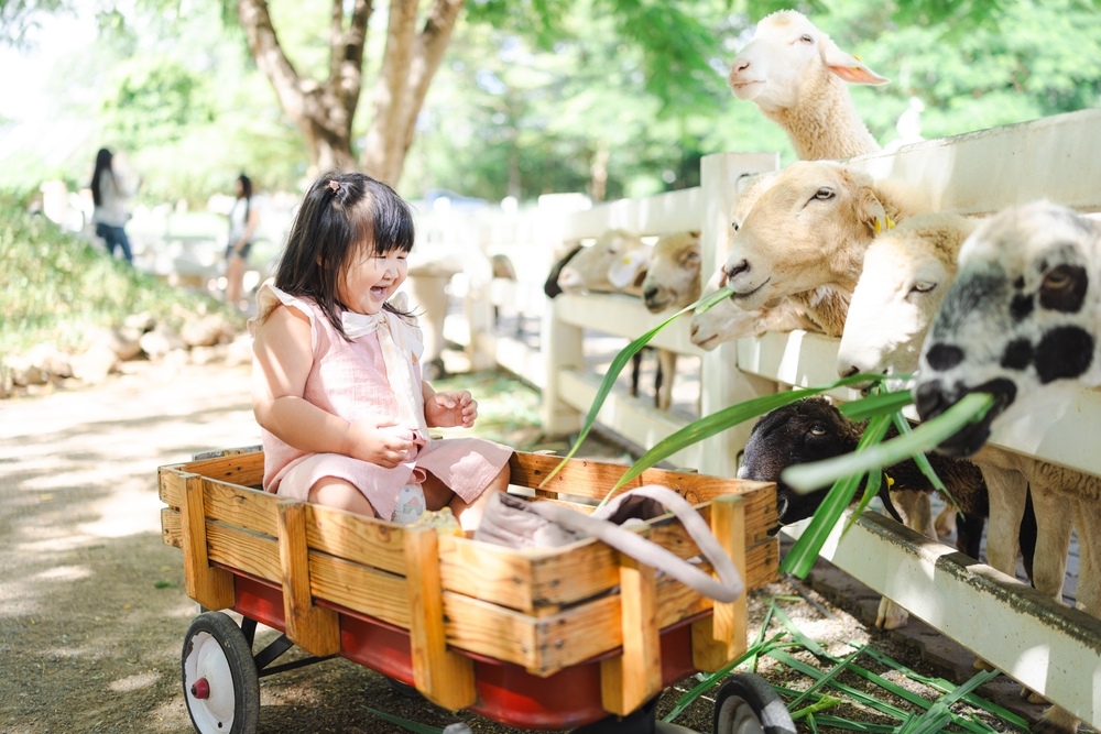 những gợi ý hoạt động để dạy các con vật cho bé thông minh Các gợi ý hoạt động để dạy các con vật cho bé thông minh
