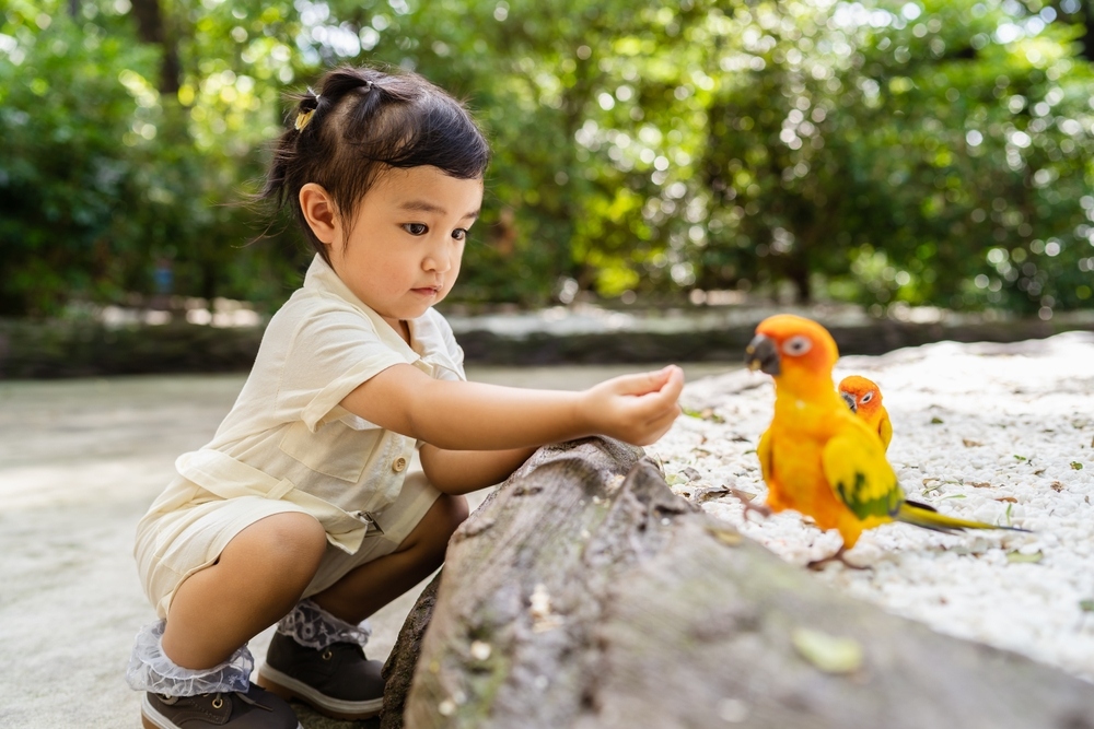 nâng cao trí tưởng tượng phong phú cho trẻ qua cách khám phá thiên nhiên nâng cao trí tưởng tượng phong phú cho trẻ bằng cách khám phá thiên nhiên