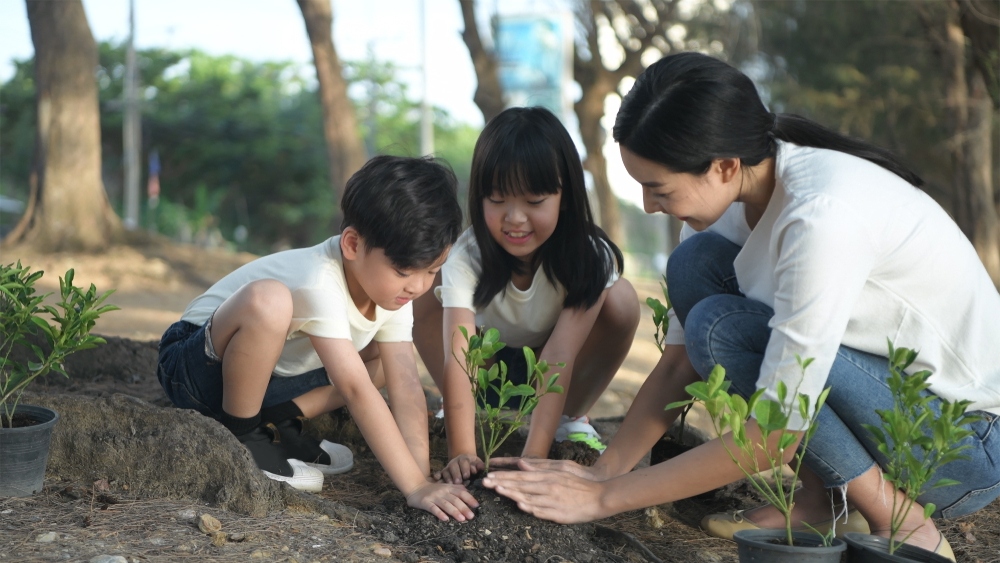 các cách nuôi dưỡng tinh thần đoàn kết giữa các anh chị em Cách nuôi dưỡng tinh thần đoàn kết giữa các anh chị em