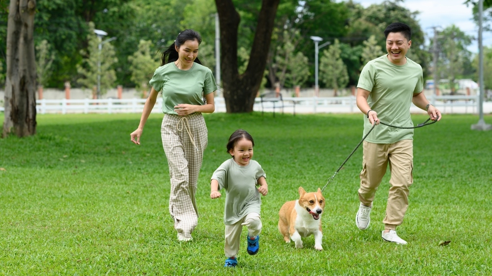 tìm hiểu gia đình hoàn hảo là gì gia đình hoàn hảo là gì