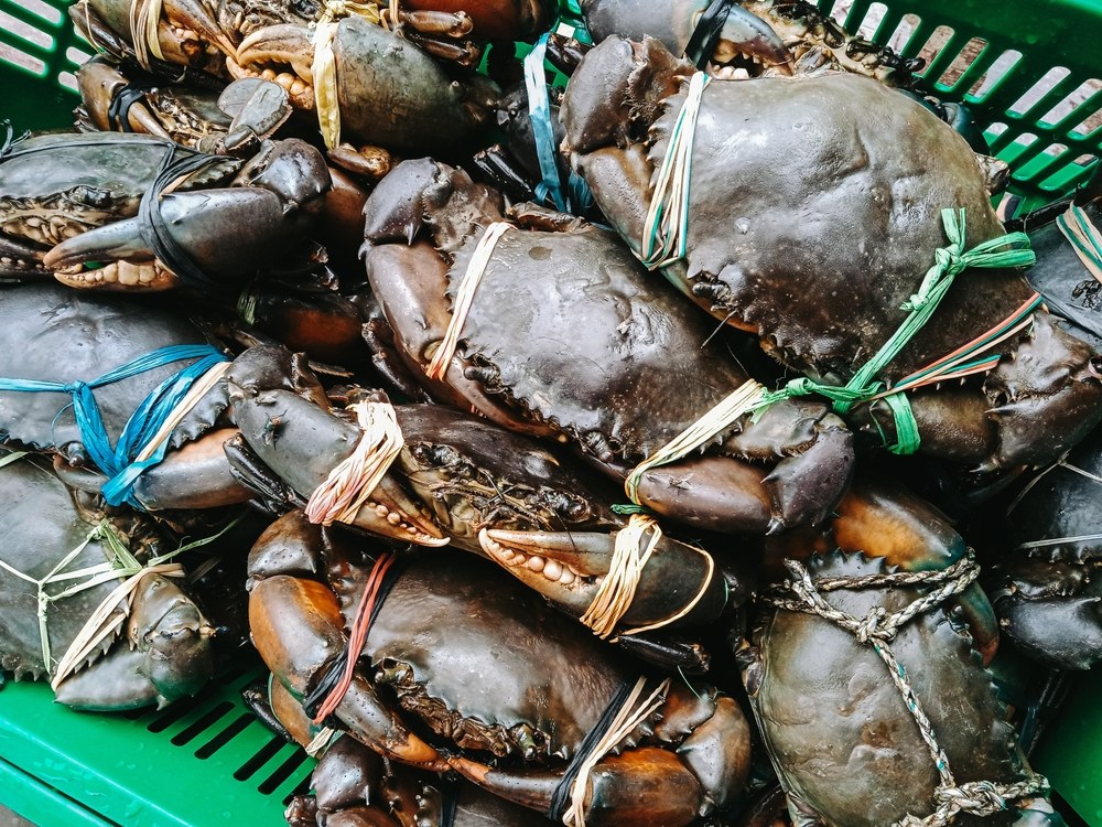cách làm chả cua hấp và nguyên nhân làm chả cua bị tanh và cách nhận biết cách làm chả cua hấp và nguyên nhân khiến chả cua bị tanh và cách nhận biết