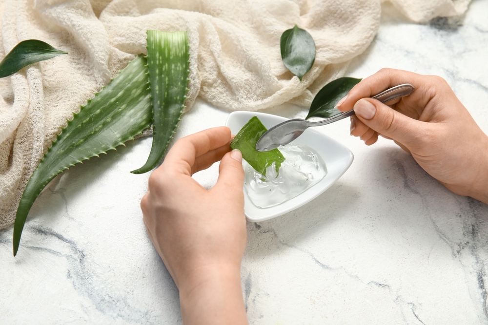 phục hồi tóc với nha đam tươi phục hồi tóc bằng nha đam tươi