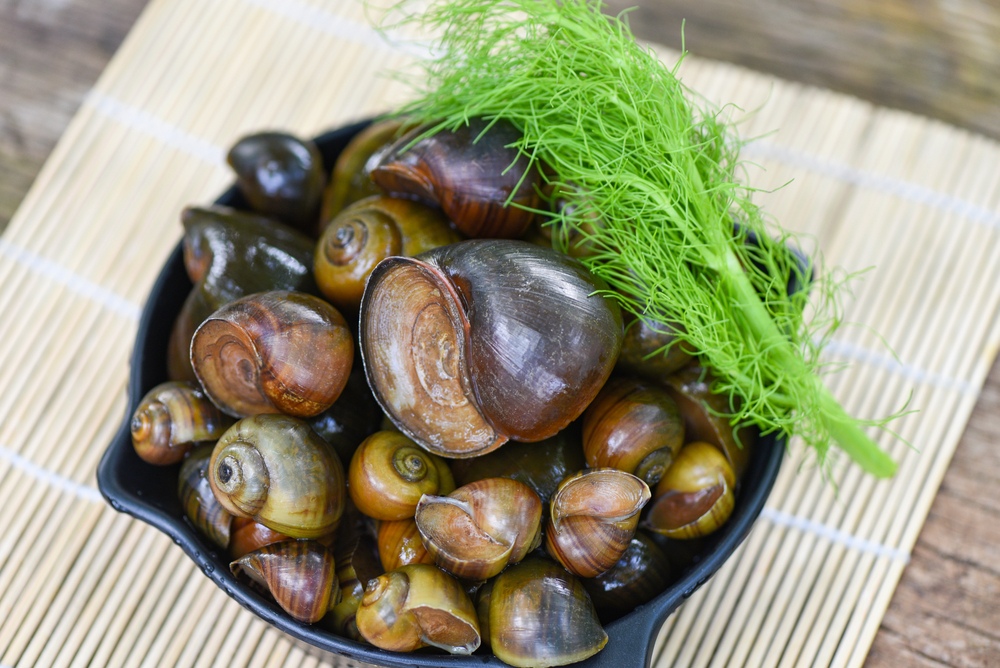 Cách nấu ốc chuối đậu thơm ngon, nước dùng đậm đà đến từng giọt 35 cách nấu ốc chuối đậu