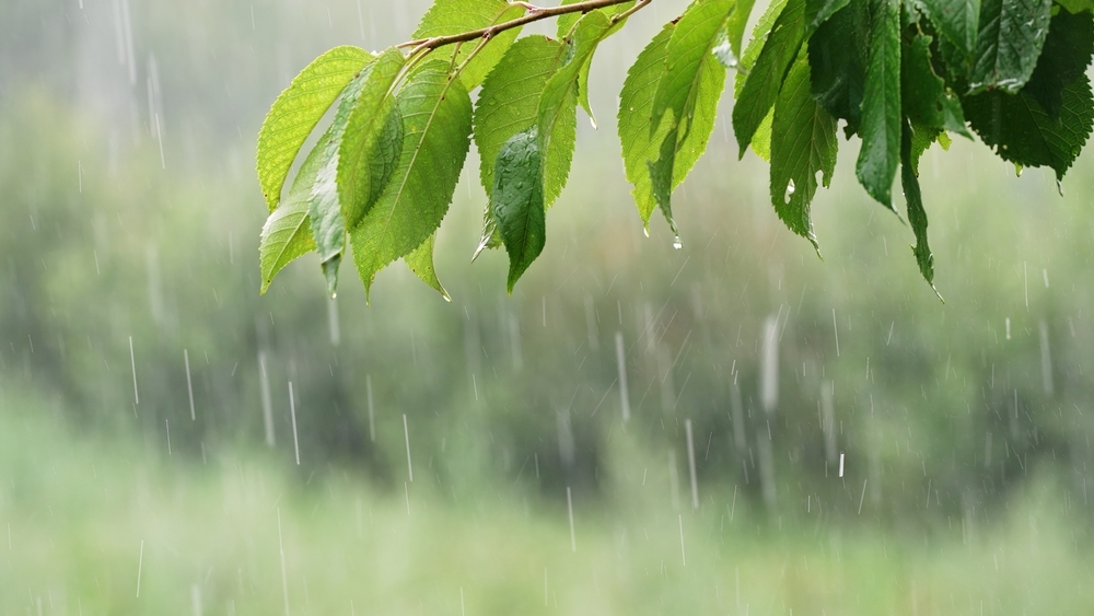 tìm hiểu tiếng ồn trắng là gì tiếng ồn trắng là gì
